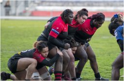 rugby 4
